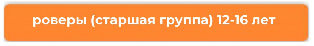 роверы кнопка.jpg