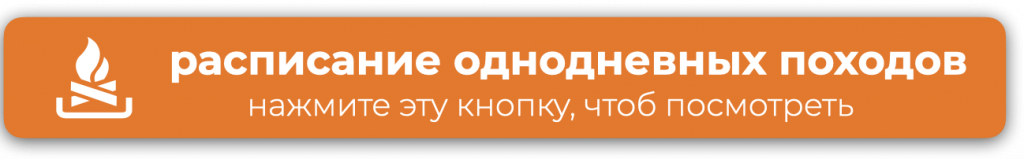 Без названия 10.001.png